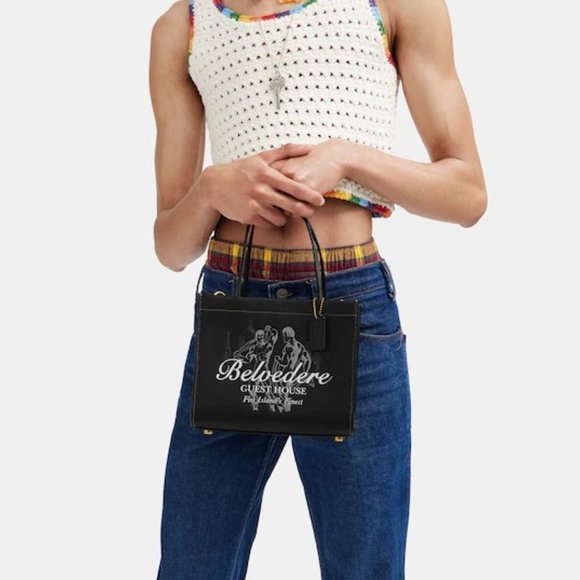 NWT Coach Belvedere Cashin Carry 22 Fire Island Graphic Leather Purse Handbag - Picture 3 of 15